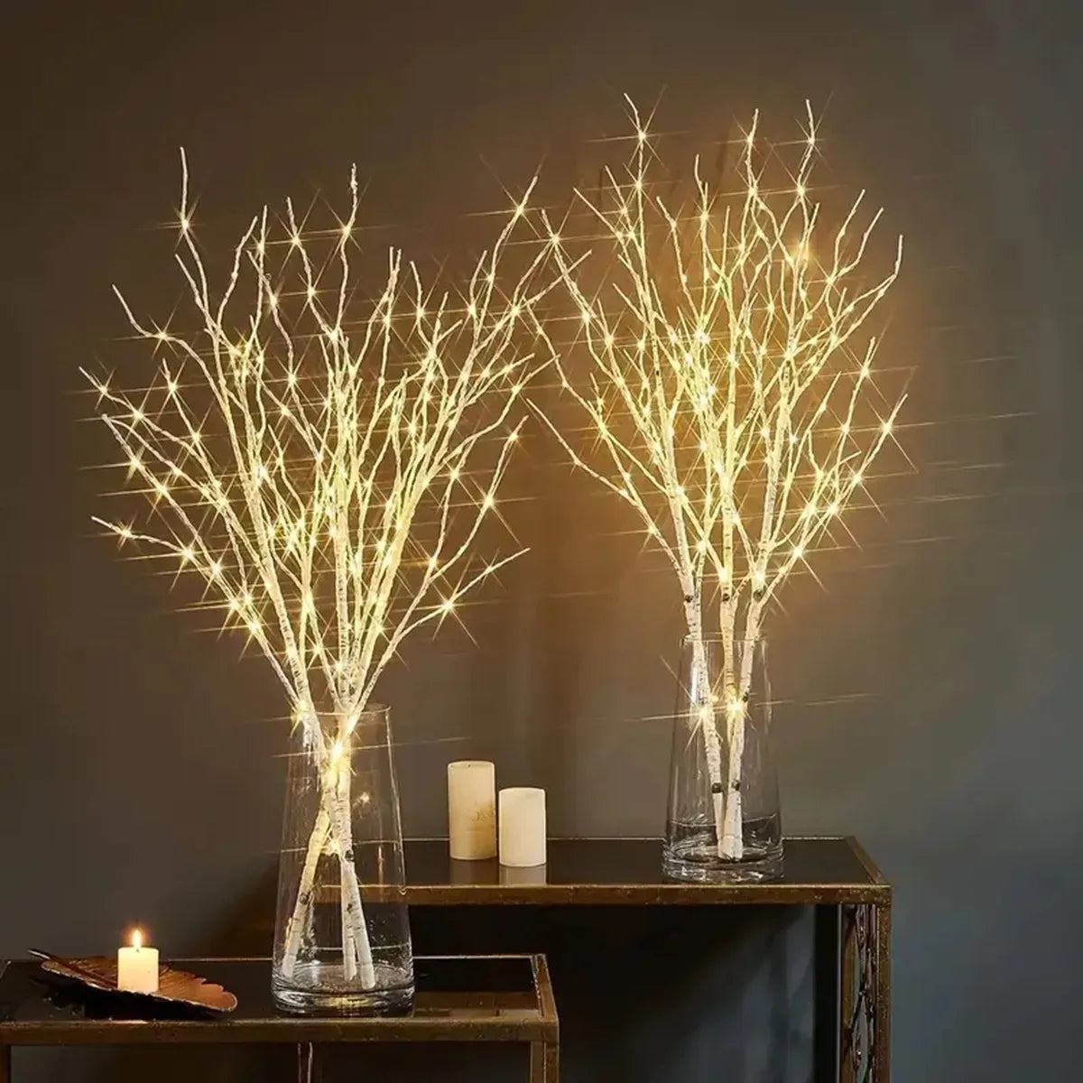 Lighted Birch Branch – view 7